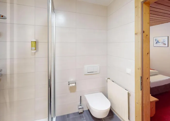 海德酒店 3* 皮茨河谷圣莱昂哈德